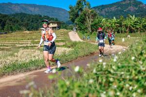 BIB: 
                            <button type="button" onclick="openModal(26681871)" class="btn btn-primary btn-sm float-right btn-popup" data-toggle="modal" data-target=".modal-high-quality">
                        <i class="fas fa-shopping-cart"></i> Add to Cart
                    </button>
                                            <button type="button" onclick="isThisMe(26681871, true)" class="btn btn-success btn-sm float-right btn-popup btn-isme hidden" data-toggle="tooltip" data-placement="bottom" title="นี่คือรูปของคุณใช่ไหม คลิกที่นี่เพื่อเอาเข้าอัลบั้ม">
                        <i class="fas fa-plus"></i> Add to album
                    </button>
                    <button type="button" onclick="isThisMe(26681871, false)" class="btn btn-warning btn-sm float-right btn-popup btn-isnotme hidden">
                        <i class="fas fa-ban"></i> Remove from album
                    </button>