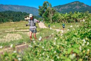 BIB: 
                            <button type="button" onclick="openModal(26681093)" class="btn btn-primary btn-sm float-right btn-popup" data-toggle="modal" data-target=".modal-high-quality">
                        <i class="fas fa-shopping-cart"></i> Add to Cart
                    </button>
                                            <button type="button" onclick="isThisMe(26681093, true)" class="btn btn-success btn-sm float-right btn-popup btn-isme hidden" data-toggle="tooltip" data-placement="bottom" title="นี่คือรูปของคุณใช่ไหม คลิกที่นี่เพื่อเอาเข้าอัลบั้ม">
                        <i class="fas fa-plus"></i> Add to album
                    </button>
                    <button type="button" onclick="isThisMe(26681093, false)" class="btn btn-warning btn-sm float-right btn-popup btn-isnotme hidden">
                        <i class="fas fa-ban"></i> Remove from album
                    </button>