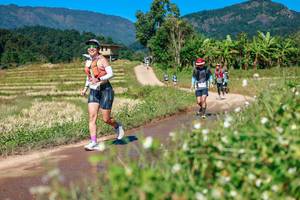 BIB: 
                            <button type="button" onclick="openModal(26681868)" class="btn btn-primary btn-sm float-right btn-popup" data-toggle="modal" data-target=".modal-high-quality">
                        <i class="fas fa-shopping-cart"></i> Add to Cart
                    </button>
                                            <button type="button" onclick="isThisMe(26681868, true)" class="btn btn-success btn-sm float-right btn-popup btn-isme hidden" data-toggle="tooltip" data-placement="bottom" title="นี่คือรูปของคุณใช่ไหม คลิกที่นี่เพื่อเอาเข้าอัลบั้ม">
                        <i class="fas fa-plus"></i> Add to album
                    </button>
                    <button type="button" onclick="isThisMe(26681868, false)" class="btn btn-warning btn-sm float-right btn-popup btn-isnotme hidden">
                        <i class="fas fa-ban"></i> Remove from album
                    </button>