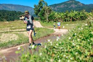 BIB: 
                            <button type="button" onclick="openModal(26681691)" class="btn btn-primary btn-sm float-right btn-popup" data-toggle="modal" data-target=".modal-high-quality">
                        <i class="fas fa-shopping-cart"></i> Add to Cart
                    </button>
                                            <button type="button" onclick="isThisMe(26681691, true)" class="btn btn-success btn-sm float-right btn-popup btn-isme hidden" data-toggle="tooltip" data-placement="bottom" title="นี่คือรูปของคุณใช่ไหม คลิกที่นี่เพื่อเอาเข้าอัลบั้ม">
                        <i class="fas fa-plus"></i> Add to album
                    </button>
                    <button type="button" onclick="isThisMe(26681691, false)" class="btn btn-warning btn-sm float-right btn-popup btn-isnotme hidden">
                        <i class="fas fa-ban"></i> Remove from album
                    </button>