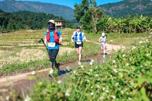 BIB: 
                            <button type="button" onclick="openModal(26681402)" class="btn btn-primary btn-sm float-right btn-popup" data-toggle="modal" data-target=".modal-high-quality">
                        <i class="fas fa-shopping-cart"></i> Add to Cart
                    </button>
                                            <button type="button" onclick="isThisMe(26681402, true)" class="btn btn-success btn-sm float-right btn-popup btn-isme hidden" data-toggle="tooltip" data-placement="bottom" title="นี่คือรูปของคุณใช่ไหม คลิกที่นี่เพื่อเอาเข้าอัลบั้ม">
                        <i class="fas fa-plus"></i> Add to album
                    </button>
                    <button type="button" onclick="isThisMe(26681402, false)" class="btn btn-warning btn-sm float-right btn-popup btn-isnotme hidden">
                        <i class="fas fa-ban"></i> Remove from album
                    </button>