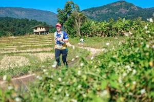 BIB: 
                            <button type="button" onclick="openModal(26680980)" class="btn btn-primary btn-sm float-right btn-popup" data-toggle="modal" data-target=".modal-high-quality">
                        <i class="fas fa-shopping-cart"></i> Add to Cart
                    </button>
                                            <button type="button" onclick="isThisMe(26680980, true)" class="btn btn-success btn-sm float-right btn-popup btn-isme hidden" data-toggle="tooltip" data-placement="bottom" title="นี่คือรูปของคุณใช่ไหม คลิกที่นี่เพื่อเอาเข้าอัลบั้ม">
                        <i class="fas fa-plus"></i> Add to album
                    </button>
                    <button type="button" onclick="isThisMe(26680980, false)" class="btn btn-warning btn-sm float-right btn-popup btn-isnotme hidden">
                        <i class="fas fa-ban"></i> Remove from album
                    </button>