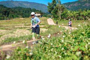 BIB: 
                            <button type="button" onclick="openModal(26680896)" class="btn btn-primary btn-sm float-right btn-popup" data-toggle="modal" data-target=".modal-high-quality">
                        <i class="fas fa-shopping-cart"></i> Add to Cart
                    </button>
                                            <button type="button" onclick="isThisMe(26680896, true)" class="btn btn-success btn-sm float-right btn-popup btn-isme hidden" data-toggle="tooltip" data-placement="bottom" title="นี่คือรูปของคุณใช่ไหม คลิกที่นี่เพื่อเอาเข้าอัลบั้ม">
                        <i class="fas fa-plus"></i> Add to album
                    </button>
                    <button type="button" onclick="isThisMe(26680896, false)" class="btn btn-warning btn-sm float-right btn-popup btn-isnotme hidden">
                        <i class="fas fa-ban"></i> Remove from album
                    </button>