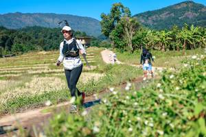 BIB: 
                            <button type="button" onclick="openModal(26681364)" class="btn btn-primary btn-sm float-right btn-popup" data-toggle="modal" data-target=".modal-high-quality">
                        <i class="fas fa-shopping-cart"></i> Add to Cart
                    </button>
                                            <button type="button" onclick="isThisMe(26681364, true)" class="btn btn-success btn-sm float-right btn-popup btn-isme hidden" data-toggle="tooltip" data-placement="bottom" title="นี่คือรูปของคุณใช่ไหม คลิกที่นี่เพื่อเอาเข้าอัลบั้ม">
                        <i class="fas fa-plus"></i> Add to album
                    </button>
                    <button type="button" onclick="isThisMe(26681364, false)" class="btn btn-warning btn-sm float-right btn-popup btn-isnotme hidden">
                        <i class="fas fa-ban"></i> Remove from album
                    </button>