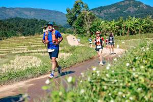 BIB: 
                            <button type="button" onclick="openModal(26681639)" class="btn btn-primary btn-sm float-right btn-popup" data-toggle="modal" data-target=".modal-high-quality">
                        <i class="fas fa-shopping-cart"></i> Add to Cart
                    </button>
                                            <button type="button" onclick="isThisMe(26681639, true)" class="btn btn-success btn-sm float-right btn-popup btn-isme hidden" data-toggle="tooltip" data-placement="bottom" title="นี่คือรูปของคุณใช่ไหม คลิกที่นี่เพื่อเอาเข้าอัลบั้ม">
                        <i class="fas fa-plus"></i> Add to album
                    </button>
                    <button type="button" onclick="isThisMe(26681639, false)" class="btn btn-warning btn-sm float-right btn-popup btn-isnotme hidden">
                        <i class="fas fa-ban"></i> Remove from album
                    </button>