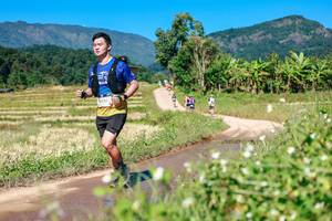 BIB: 
                            <button type="button" onclick="openModal(26681604)" class="btn btn-primary btn-sm float-right btn-popup" data-toggle="modal" data-target=".modal-high-quality">
                        <i class="fas fa-shopping-cart"></i> Add to Cart
                    </button>
                                            <button type="button" onclick="isThisMe(26681604, true)" class="btn btn-success btn-sm float-right btn-popup btn-isme hidden" data-toggle="tooltip" data-placement="bottom" title="นี่คือรูปของคุณใช่ไหม คลิกที่นี่เพื่อเอาเข้าอัลบั้ม">
                        <i class="fas fa-plus"></i> Add to album
                    </button>
                    <button type="button" onclick="isThisMe(26681604, false)" class="btn btn-warning btn-sm float-right btn-popup btn-isnotme hidden">
                        <i class="fas fa-ban"></i> Remove from album
                    </button>