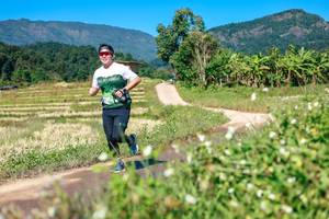 BIB: 
                            <button type="button" onclick="openModal(26681301)" class="btn btn-primary btn-sm float-right btn-popup" data-toggle="modal" data-target=".modal-high-quality">
                        <i class="fas fa-shopping-cart"></i> Add to Cart
                    </button>
                                            <button type="button" onclick="isThisMe(26681301, true)" class="btn btn-success btn-sm float-right btn-popup btn-isme hidden" data-toggle="tooltip" data-placement="bottom" title="นี่คือรูปของคุณใช่ไหม คลิกที่นี่เพื่อเอาเข้าอัลบั้ม">
                        <i class="fas fa-plus"></i> Add to album
                    </button>
                    <button type="button" onclick="isThisMe(26681301, false)" class="btn btn-warning btn-sm float-right btn-popup btn-isnotme hidden">
                        <i class="fas fa-ban"></i> Remove from album
                    </button>