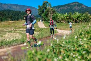 BIB: 
                            <button type="button" onclick="openModal(26681885)" class="btn btn-primary btn-sm float-right btn-popup" data-toggle="modal" data-target=".modal-high-quality">
                        <i class="fas fa-shopping-cart"></i> Add to Cart
                    </button>
                                            <button type="button" onclick="isThisMe(26681885, true)" class="btn btn-success btn-sm float-right btn-popup btn-isme hidden" data-toggle="tooltip" data-placement="bottom" title="นี่คือรูปของคุณใช่ไหม คลิกที่นี่เพื่อเอาเข้าอัลบั้ม">
                        <i class="fas fa-plus"></i> Add to album
                    </button>
                    <button type="button" onclick="isThisMe(26681885, false)" class="btn btn-warning btn-sm float-right btn-popup btn-isnotme hidden">
                        <i class="fas fa-ban"></i> Remove from album
                    </button>