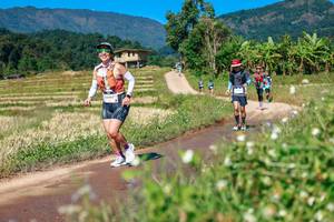 BIB: 
                            <button type="button" onclick="openModal(26681872)" class="btn btn-primary btn-sm float-right btn-popup" data-toggle="modal" data-target=".modal-high-quality">
                        <i class="fas fa-shopping-cart"></i> Add to Cart
                    </button>
                                            <button type="button" onclick="isThisMe(26681872, true)" class="btn btn-success btn-sm float-right btn-popup btn-isme hidden" data-toggle="tooltip" data-placement="bottom" title="นี่คือรูปของคุณใช่ไหม คลิกที่นี่เพื่อเอาเข้าอัลบั้ม">
                        <i class="fas fa-plus"></i> Add to album
                    </button>
                    <button type="button" onclick="isThisMe(26681872, false)" class="btn btn-warning btn-sm float-right btn-popup btn-isnotme hidden">
                        <i class="fas fa-ban"></i> Remove from album
                    </button>