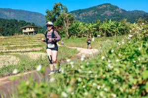 BIB: 
                            <button type="button" onclick="openModal(26681780)" class="btn btn-primary btn-sm float-right btn-popup" data-toggle="modal" data-target=".modal-high-quality">
                        <i class="fas fa-shopping-cart"></i> Add to Cart
                    </button>
                                            <button type="button" onclick="isThisMe(26681780, true)" class="btn btn-success btn-sm float-right btn-popup btn-isme hidden" data-toggle="tooltip" data-placement="bottom" title="นี่คือรูปของคุณใช่ไหม คลิกที่นี่เพื่อเอาเข้าอัลบั้ม">
                        <i class="fas fa-plus"></i> Add to album
                    </button>
                    <button type="button" onclick="isThisMe(26681780, false)" class="btn btn-warning btn-sm float-right btn-popup btn-isnotme hidden">
                        <i class="fas fa-ban"></i> Remove from album
                    </button>