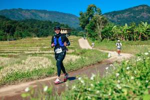 BIB: 
                            <button type="button" onclick="openModal(26682075)" class="btn btn-primary btn-sm float-right btn-popup" data-toggle="modal" data-target=".modal-high-quality">
                        <i class="fas fa-shopping-cart"></i> Add to Cart
                    </button>
                                            <button type="button" onclick="isThisMe(26682075, true)" class="btn btn-success btn-sm float-right btn-popup btn-isme hidden" data-toggle="tooltip" data-placement="bottom" title="นี่คือรูปของคุณใช่ไหม คลิกที่นี่เพื่อเอาเข้าอัลบั้ม">
                        <i class="fas fa-plus"></i> Add to album
                    </button>
                    <button type="button" onclick="isThisMe(26682075, false)" class="btn btn-warning btn-sm float-right btn-popup btn-isnotme hidden">
                        <i class="fas fa-ban"></i> Remove from album
                    </button>