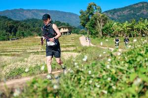 BIB: 
                            <button type="button" onclick="openModal(26681065)" class="btn btn-primary btn-sm float-right btn-popup" data-toggle="modal" data-target=".modal-high-quality">
                        <i class="fas fa-shopping-cart"></i> Add to Cart
                    </button>
                                            <button type="button" onclick="isThisMe(26681065, true)" class="btn btn-success btn-sm float-right btn-popup btn-isme hidden" data-toggle="tooltip" data-placement="bottom" title="นี่คือรูปของคุณใช่ไหม คลิกที่นี่เพื่อเอาเข้าอัลบั้ม">
                        <i class="fas fa-plus"></i> Add to album
                    </button>
                    <button type="button" onclick="isThisMe(26681065, false)" class="btn btn-warning btn-sm float-right btn-popup btn-isnotme hidden">
                        <i class="fas fa-ban"></i> Remove from album
                    </button>