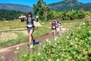 BIB: 
                            <button type="button" onclick="openModal(26681659)" class="btn btn-primary btn-sm float-right btn-popup" data-toggle="modal" data-target=".modal-high-quality">
                        <i class="fas fa-shopping-cart"></i> Add to Cart
                    </button>
                                            <button type="button" onclick="isThisMe(26681659, true)" class="btn btn-success btn-sm float-right btn-popup btn-isme hidden" data-toggle="tooltip" data-placement="bottom" title="นี่คือรูปของคุณใช่ไหม คลิกที่นี่เพื่อเอาเข้าอัลบั้ม">
                        <i class="fas fa-plus"></i> Add to album
                    </button>
                    <button type="button" onclick="isThisMe(26681659, false)" class="btn btn-warning btn-sm float-right btn-popup btn-isnotme hidden">
                        <i class="fas fa-ban"></i> Remove from album
                    </button>