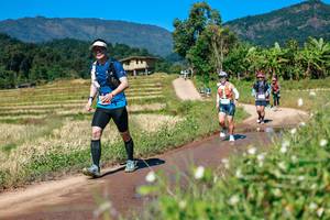 BIB: 
                            <button type="button" onclick="openModal(26681860)" class="btn btn-primary btn-sm float-right btn-popup" data-toggle="modal" data-target=".modal-high-quality">
                        <i class="fas fa-shopping-cart"></i> Add to Cart
                    </button>
                                            <button type="button" onclick="isThisMe(26681860, true)" class="btn btn-success btn-sm float-right btn-popup btn-isme hidden" data-toggle="tooltip" data-placement="bottom" title="นี่คือรูปของคุณใช่ไหม คลิกที่นี่เพื่อเอาเข้าอัลบั้ม">
                        <i class="fas fa-plus"></i> Add to album
                    </button>
                    <button type="button" onclick="isThisMe(26681860, false)" class="btn btn-warning btn-sm float-right btn-popup btn-isnotme hidden">
                        <i class="fas fa-ban"></i> Remove from album
                    </button>