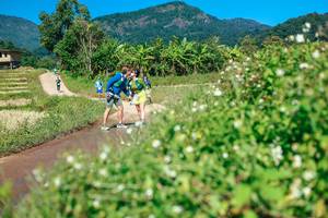 BIB: 
                            <button type="button" onclick="openModal(26682386)" class="btn btn-primary btn-sm float-right btn-popup" data-toggle="modal" data-target=".modal-high-quality">
                        <i class="fas fa-shopping-cart"></i> Add to Cart
                    </button>
                                            <button type="button" onclick="isThisMe(26682386, true)" class="btn btn-success btn-sm float-right btn-popup btn-isme hidden" data-toggle="tooltip" data-placement="bottom" title="นี่คือรูปของคุณใช่ไหม คลิกที่นี่เพื่อเอาเข้าอัลบั้ม">
                        <i class="fas fa-plus"></i> Add to album
                    </button>
                    <button type="button" onclick="isThisMe(26682386, false)" class="btn btn-warning btn-sm float-right btn-popup btn-isnotme hidden">
                        <i class="fas fa-ban"></i> Remove from album
                    </button>