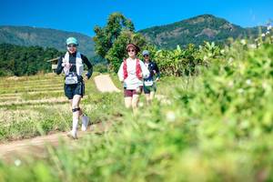 BIB: 
                            <button type="button" onclick="openModal(26682864)" class="btn btn-primary btn-sm float-right btn-popup" data-toggle="modal" data-target=".modal-high-quality">
                        <i class="fas fa-shopping-cart"></i> Add to Cart
                    </button>
                                            <button type="button" onclick="isThisMe(26682864, true)" class="btn btn-success btn-sm float-right btn-popup btn-isme hidden" data-toggle="tooltip" data-placement="bottom" title="นี่คือรูปของคุณใช่ไหม คลิกที่นี่เพื่อเอาเข้าอัลบั้ม">
                        <i class="fas fa-plus"></i> Add to album
                    </button>
                    <button type="button" onclick="isThisMe(26682864, false)" class="btn btn-warning btn-sm float-right btn-popup btn-isnotme hidden">
                        <i class="fas fa-ban"></i> Remove from album
                    </button>