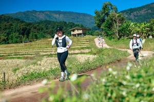 BIB: 
                            <button type="button" onclick="openModal(26682561)" class="btn btn-primary btn-sm float-right btn-popup" data-toggle="modal" data-target=".modal-high-quality">
                        <i class="fas fa-shopping-cart"></i> Add to Cart
                    </button>
                                            <button type="button" onclick="isThisMe(26682561, true)" class="btn btn-success btn-sm float-right btn-popup btn-isme hidden" data-toggle="tooltip" data-placement="bottom" title="นี่คือรูปของคุณใช่ไหม คลิกที่นี่เพื่อเอาเข้าอัลบั้ม">
                        <i class="fas fa-plus"></i> Add to album
                    </button>
                    <button type="button" onclick="isThisMe(26682561, false)" class="btn btn-warning btn-sm float-right btn-popup btn-isnotme hidden">
                        <i class="fas fa-ban"></i> Remove from album
                    </button>