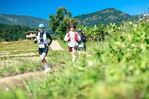 BIB: 
                            <button type="button" onclick="openModal(26682866)" class="btn btn-primary btn-sm float-right btn-popup" data-toggle="modal" data-target=".modal-high-quality">
                        <i class="fas fa-shopping-cart"></i> Add to Cart
                    </button>
                                            <button type="button" onclick="isThisMe(26682866, true)" class="btn btn-success btn-sm float-right btn-popup btn-isme hidden" data-toggle="tooltip" data-placement="bottom" title="นี่คือรูปของคุณใช่ไหม คลิกที่นี่เพื่อเอาเข้าอัลบั้ม">
                        <i class="fas fa-plus"></i> Add to album
                    </button>
                    <button type="button" onclick="isThisMe(26682866, false)" class="btn btn-warning btn-sm float-right btn-popup btn-isnotme hidden">
                        <i class="fas fa-ban"></i> Remove from album
                    </button>