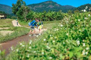 BIB: 
                            <button type="button" onclick="openModal(26682387)" class="btn btn-primary btn-sm float-right btn-popup" data-toggle="modal" data-target=".modal-high-quality">
                        <i class="fas fa-shopping-cart"></i> Add to Cart
                    </button>
                                            <button type="button" onclick="isThisMe(26682387, true)" class="btn btn-success btn-sm float-right btn-popup btn-isme hidden" data-toggle="tooltip" data-placement="bottom" title="นี่คือรูปของคุณใช่ไหม คลิกที่นี่เพื่อเอาเข้าอัลบั้ม">
                        <i class="fas fa-plus"></i> Add to album
                    </button>
                    <button type="button" onclick="isThisMe(26682387, false)" class="btn btn-warning btn-sm float-right btn-popup btn-isnotme hidden">
                        <i class="fas fa-ban"></i> Remove from album
                    </button>