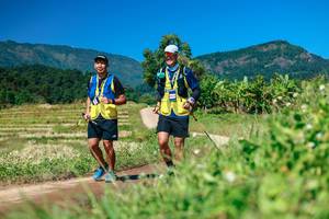 BIB: 
                            <button type="button" onclick="openModal(26682805)" class="btn btn-primary btn-sm float-right btn-popup" data-toggle="modal" data-target=".modal-high-quality">
                        <i class="fas fa-shopping-cart"></i> Add to Cart
                    </button>
                                            <button type="button" onclick="isThisMe(26682805, true)" class="btn btn-success btn-sm float-right btn-popup btn-isme hidden" data-toggle="tooltip" data-placement="bottom" title="นี่คือรูปของคุณใช่ไหม คลิกที่นี่เพื่อเอาเข้าอัลบั้ม">
                        <i class="fas fa-plus"></i> Add to album
                    </button>
                    <button type="button" onclick="isThisMe(26682805, false)" class="btn btn-warning btn-sm float-right btn-popup btn-isnotme hidden">
                        <i class="fas fa-ban"></i> Remove from album
                    </button>