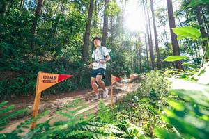 BIB: 
                            <button type="button" onclick="openModal(26629685)" class="btn btn-primary btn-sm float-right btn-popup" data-toggle="modal" data-target=".modal-high-quality">
                        <i class="fas fa-shopping-cart"></i> Add to Cart
                    </button>
                                            <button type="button" onclick="isThisMe(26629685, true)" class="btn btn-success btn-sm float-right btn-popup btn-isme hidden" data-toggle="tooltip" data-placement="bottom" title="นี่คือรูปของคุณใช่ไหม คลิกที่นี่เพื่อเอาเข้าอัลบั้ม">
                        <i class="fas fa-plus"></i> Add to album
                    </button>
                    <button type="button" onclick="isThisMe(26629685, false)" class="btn btn-warning btn-sm float-right btn-popup btn-isnotme hidden">
                        <i class="fas fa-ban"></i> Remove from album
                    </button>