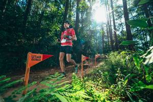 BIB: 
                            <button type="button" onclick="openModal(26629716)" class="btn btn-primary btn-sm float-right btn-popup" data-toggle="modal" data-target=".modal-high-quality">
                        <i class="fas fa-shopping-cart"></i> Add to Cart
                    </button>
                                            <button type="button" onclick="isThisMe(26629716, true)" class="btn btn-success btn-sm float-right btn-popup btn-isme hidden" data-toggle="tooltip" data-placement="bottom" title="นี่คือรูปของคุณใช่ไหม คลิกที่นี่เพื่อเอาเข้าอัลบั้ม">
                        <i class="fas fa-plus"></i> Add to album
                    </button>
                    <button type="button" onclick="isThisMe(26629716, false)" class="btn btn-warning btn-sm float-right btn-popup btn-isnotme hidden">
                        <i class="fas fa-ban"></i> Remove from album
                    </button>