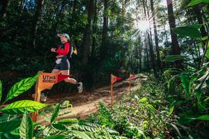 BIB: 
                            <button type="button" onclick="openModal(26630189)" class="btn btn-primary btn-sm float-right btn-popup" data-toggle="modal" data-target=".modal-high-quality">
                        <i class="fas fa-shopping-cart"></i> Add to Cart
                    </button>
                                            <button type="button" onclick="isThisMe(26630189, true)" class="btn btn-success btn-sm float-right btn-popup btn-isme hidden" data-toggle="tooltip" data-placement="bottom" title="นี่คือรูปของคุณใช่ไหม คลิกที่นี่เพื่อเอาเข้าอัลบั้ม">
                        <i class="fas fa-plus"></i> Add to album
                    </button>
                    <button type="button" onclick="isThisMe(26630189, false)" class="btn btn-warning btn-sm float-right btn-popup btn-isnotme hidden">
                        <i class="fas fa-ban"></i> Remove from album
                    </button>