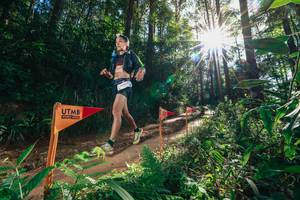 BIB: 
                            <button type="button" onclick="openModal(26630422)" class="btn btn-primary btn-sm float-right btn-popup" data-toggle="modal" data-target=".modal-high-quality">
                        <i class="fas fa-shopping-cart"></i> Add to Cart
                    </button>
                                            <button type="button" onclick="isThisMe(26630422, true)" class="btn btn-success btn-sm float-right btn-popup btn-isme hidden" data-toggle="tooltip" data-placement="bottom" title="นี่คือรูปของคุณใช่ไหม คลิกที่นี่เพื่อเอาเข้าอัลบั้ม">
                        <i class="fas fa-plus"></i> Add to album
                    </button>
                    <button type="button" onclick="isThisMe(26630422, false)" class="btn btn-warning btn-sm float-right btn-popup btn-isnotme hidden">
                        <i class="fas fa-ban"></i> Remove from album
                    </button>