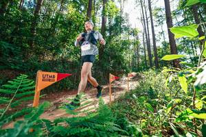 BIB: 
                            <button type="button" onclick="openModal(26629662)" class="btn btn-primary btn-sm float-right btn-popup" data-toggle="modal" data-target=".modal-high-quality">
                        <i class="fas fa-shopping-cart"></i> Add to Cart
                    </button>
                                            <button type="button" onclick="isThisMe(26629662, true)" class="btn btn-success btn-sm float-right btn-popup btn-isme hidden" data-toggle="tooltip" data-placement="bottom" title="นี่คือรูปของคุณใช่ไหม คลิกที่นี่เพื่อเอาเข้าอัลบั้ม">
                        <i class="fas fa-plus"></i> Add to album
                    </button>
                    <button type="button" onclick="isThisMe(26629662, false)" class="btn btn-warning btn-sm float-right btn-popup btn-isnotme hidden">
                        <i class="fas fa-ban"></i> Remove from album
                    </button>