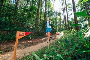 BIB: 
                            <button type="button" onclick="openModal(26629517)" class="btn btn-primary btn-sm float-right btn-popup" data-toggle="modal" data-target=".modal-high-quality">
                        <i class="fas fa-shopping-cart"></i> Add to Cart
                    </button>
                                            <button type="button" onclick="isThisMe(26629517, true)" class="btn btn-success btn-sm float-right btn-popup btn-isme hidden" data-toggle="tooltip" data-placement="bottom" title="นี่คือรูปของคุณใช่ไหม คลิกที่นี่เพื่อเอาเข้าอัลบั้ม">
                        <i class="fas fa-plus"></i> Add to album
                    </button>
                    <button type="button" onclick="isThisMe(26629517, false)" class="btn btn-warning btn-sm float-right btn-popup btn-isnotme hidden">
                        <i class="fas fa-ban"></i> Remove from album
                    </button>