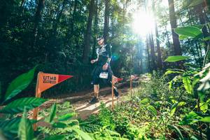 BIB: 
                            <button type="button" onclick="openModal(26630074)" class="btn btn-primary btn-sm float-right btn-popup" data-toggle="modal" data-target=".modal-high-quality">
                        <i class="fas fa-shopping-cart"></i> Add to Cart
                    </button>
                                            <button type="button" onclick="isThisMe(26630074, true)" class="btn btn-success btn-sm float-right btn-popup btn-isme hidden" data-toggle="tooltip" data-placement="bottom" title="นี่คือรูปของคุณใช่ไหม คลิกที่นี่เพื่อเอาเข้าอัลบั้ม">
                        <i class="fas fa-plus"></i> Add to album
                    </button>
                    <button type="button" onclick="isThisMe(26630074, false)" class="btn btn-warning btn-sm float-right btn-popup btn-isnotme hidden">
                        <i class="fas fa-ban"></i> Remove from album
                    </button>