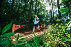 BIB: 
                            <button type="button" onclick="openModal(26630034)" class="btn btn-primary btn-sm float-right btn-popup" data-toggle="modal" data-target=".modal-high-quality">
                        <i class="fas fa-shopping-cart"></i> Add to Cart
                    </button>
                                            <button type="button" onclick="isThisMe(26630034, true)" class="btn btn-success btn-sm float-right btn-popup btn-isme hidden" data-toggle="tooltip" data-placement="bottom" title="นี่คือรูปของคุณใช่ไหม คลิกที่นี่เพื่อเอาเข้าอัลบั้ม">
                        <i class="fas fa-plus"></i> Add to album
                    </button>
                    <button type="button" onclick="isThisMe(26630034, false)" class="btn btn-warning btn-sm float-right btn-popup btn-isnotme hidden">
                        <i class="fas fa-ban"></i> Remove from album
                    </button>