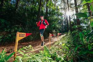 BIB: 
                            <button type="button" onclick="openModal(26630604)" class="btn btn-primary btn-sm float-right btn-popup" data-toggle="modal" data-target=".modal-high-quality">
                        <i class="fas fa-shopping-cart"></i> Add to Cart
                    </button>
                                            <button type="button" onclick="isThisMe(26630604, true)" class="btn btn-success btn-sm float-right btn-popup btn-isme hidden" data-toggle="tooltip" data-placement="bottom" title="นี่คือรูปของคุณใช่ไหม คลิกที่นี่เพื่อเอาเข้าอัลบั้ม">
                        <i class="fas fa-plus"></i> Add to album
                    </button>
                    <button type="button" onclick="isThisMe(26630604, false)" class="btn btn-warning btn-sm float-right btn-popup btn-isnotme hidden">
                        <i class="fas fa-ban"></i> Remove from album
                    </button>