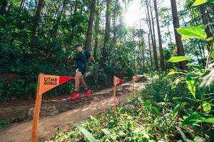 BIB: 
                            <button type="button" onclick="openModal(26629366)" class="btn btn-primary btn-sm float-right btn-popup" data-toggle="modal" data-target=".modal-high-quality">
                        <i class="fas fa-shopping-cart"></i> Add to Cart
                    </button>
                                            <button type="button" onclick="isThisMe(26629366, true)" class="btn btn-success btn-sm float-right btn-popup btn-isme hidden" data-toggle="tooltip" data-placement="bottom" title="นี่คือรูปของคุณใช่ไหม คลิกที่นี่เพื่อเอาเข้าอัลบั้ม">
                        <i class="fas fa-plus"></i> Add to album
                    </button>
                    <button type="button" onclick="isThisMe(26629366, false)" class="btn btn-warning btn-sm float-right btn-popup btn-isnotme hidden">
                        <i class="fas fa-ban"></i> Remove from album
                    </button>