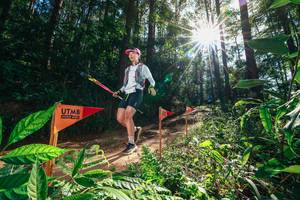 BIB: 
                            <button type="button" onclick="openModal(26630163)" class="btn btn-primary btn-sm float-right btn-popup" data-toggle="modal" data-target=".modal-high-quality">
                        <i class="fas fa-shopping-cart"></i> Add to Cart
                    </button>
                                            <button type="button" onclick="isThisMe(26630163, true)" class="btn btn-success btn-sm float-right btn-popup btn-isme hidden" data-toggle="tooltip" data-placement="bottom" title="นี่คือรูปของคุณใช่ไหม คลิกที่นี่เพื่อเอาเข้าอัลบั้ม">
                        <i class="fas fa-plus"></i> Add to album
                    </button>
                    <button type="button" onclick="isThisMe(26630163, false)" class="btn btn-warning btn-sm float-right btn-popup btn-isnotme hidden">
                        <i class="fas fa-ban"></i> Remove from album
                    </button>