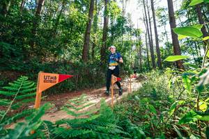 BIB: 
                            <button type="button" onclick="openModal(26629647)" class="btn btn-primary btn-sm float-right btn-popup" data-toggle="modal" data-target=".modal-high-quality">
                        <i class="fas fa-shopping-cart"></i> Add to Cart
                    </button>
                                            <button type="button" onclick="isThisMe(26629647, true)" class="btn btn-success btn-sm float-right btn-popup btn-isme hidden" data-toggle="tooltip" data-placement="bottom" title="นี่คือรูปของคุณใช่ไหม คลิกที่นี่เพื่อเอาเข้าอัลบั้ม">
                        <i class="fas fa-plus"></i> Add to album
                    </button>
                    <button type="button" onclick="isThisMe(26629647, false)" class="btn btn-warning btn-sm float-right btn-popup btn-isnotme hidden">
                        <i class="fas fa-ban"></i> Remove from album
                    </button>