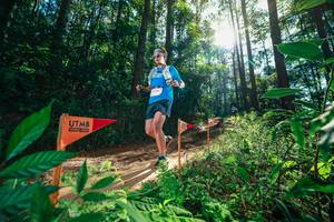 BIB: 
                            <button type="button" onclick="openModal(26629941)" class="btn btn-primary btn-sm float-right btn-popup" data-toggle="modal" data-target=".modal-high-quality">
                        <i class="fas fa-shopping-cart"></i> Add to Cart
                    </button>
                                            <button type="button" onclick="isThisMe(26629941, true)" class="btn btn-success btn-sm float-right btn-popup btn-isme hidden" data-toggle="tooltip" data-placement="bottom" title="นี่คือรูปของคุณใช่ไหม คลิกที่นี่เพื่อเอาเข้าอัลบั้ม">
                        <i class="fas fa-plus"></i> Add to album
                    </button>
                    <button type="button" onclick="isThisMe(26629941, false)" class="btn btn-warning btn-sm float-right btn-popup btn-isnotme hidden">
                        <i class="fas fa-ban"></i> Remove from album
                    </button>