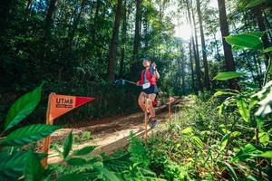 BIB: 
                            <button type="button" onclick="openModal(26630050)" class="btn btn-primary btn-sm float-right btn-popup" data-toggle="modal" data-target=".modal-high-quality">
                        <i class="fas fa-shopping-cart"></i> Add to Cart
                    </button>
                                            <button type="button" onclick="isThisMe(26630050, true)" class="btn btn-success btn-sm float-right btn-popup btn-isme hidden" data-toggle="tooltip" data-placement="bottom" title="นี่คือรูปของคุณใช่ไหม คลิกที่นี่เพื่อเอาเข้าอัลบั้ม">
                        <i class="fas fa-plus"></i> Add to album
                    </button>
                    <button type="button" onclick="isThisMe(26630050, false)" class="btn btn-warning btn-sm float-right btn-popup btn-isnotme hidden">
                        <i class="fas fa-ban"></i> Remove from album
                    </button>