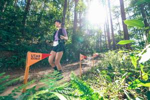 BIB: 
                            <button type="button" onclick="openModal(26629710)" class="btn btn-primary btn-sm float-right btn-popup" data-toggle="modal" data-target=".modal-high-quality">
                        <i class="fas fa-shopping-cart"></i> Add to Cart
                    </button>
                                            <button type="button" onclick="isThisMe(26629710, true)" class="btn btn-success btn-sm float-right btn-popup btn-isme hidden" data-toggle="tooltip" data-placement="bottom" title="นี่คือรูปของคุณใช่ไหม คลิกที่นี่เพื่อเอาเข้าอัลบั้ม">
                        <i class="fas fa-plus"></i> Add to album
                    </button>
                    <button type="button" onclick="isThisMe(26629710, false)" class="btn btn-warning btn-sm float-right btn-popup btn-isnotme hidden">
                        <i class="fas fa-ban"></i> Remove from album
                    </button>