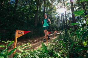 BIB: 
                            <button type="button" onclick="openModal(26630284)" class="btn btn-primary btn-sm float-right btn-popup" data-toggle="modal" data-target=".modal-high-quality">
                        <i class="fas fa-shopping-cart"></i> Add to Cart
                    </button>
                                            <button type="button" onclick="isThisMe(26630284, true)" class="btn btn-success btn-sm float-right btn-popup btn-isme hidden" data-toggle="tooltip" data-placement="bottom" title="นี่คือรูปของคุณใช่ไหม คลิกที่นี่เพื่อเอาเข้าอัลบั้ม">
                        <i class="fas fa-plus"></i> Add to album
                    </button>
                    <button type="button" onclick="isThisMe(26630284, false)" class="btn btn-warning btn-sm float-right btn-popup btn-isnotme hidden">
                        <i class="fas fa-ban"></i> Remove from album
                    </button>