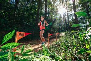 BIB: 
                            <button type="button" onclick="openModal(26630102)" class="btn btn-primary btn-sm float-right btn-popup" data-toggle="modal" data-target=".modal-high-quality">
                        <i class="fas fa-shopping-cart"></i> Add to Cart
                    </button>
                                            <button type="button" onclick="isThisMe(26630102, true)" class="btn btn-success btn-sm float-right btn-popup btn-isme hidden" data-toggle="tooltip" data-placement="bottom" title="นี่คือรูปของคุณใช่ไหม คลิกที่นี่เพื่อเอาเข้าอัลบั้ม">
                        <i class="fas fa-plus"></i> Add to album
                    </button>
                    <button type="button" onclick="isThisMe(26630102, false)" class="btn btn-warning btn-sm float-right btn-popup btn-isnotme hidden">
                        <i class="fas fa-ban"></i> Remove from album
                    </button>