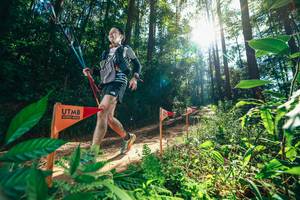 BIB: 
                            <button type="button" onclick="openModal(26630073)" class="btn btn-primary btn-sm float-right btn-popup" data-toggle="modal" data-target=".modal-high-quality">
                        <i class="fas fa-shopping-cart"></i> Add to Cart
                    </button>
                                            <button type="button" onclick="isThisMe(26630073, true)" class="btn btn-success btn-sm float-right btn-popup btn-isme hidden" data-toggle="tooltip" data-placement="bottom" title="นี่คือรูปของคุณใช่ไหม คลิกที่นี่เพื่อเอาเข้าอัลบั้ม">
                        <i class="fas fa-plus"></i> Add to album
                    </button>
                    <button type="button" onclick="isThisMe(26630073, false)" class="btn btn-warning btn-sm float-right btn-popup btn-isnotme hidden">
                        <i class="fas fa-ban"></i> Remove from album
                    </button>