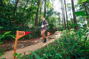 BIB: 
                            <button type="button" onclick="openModal(26629624)" class="btn btn-primary btn-sm float-right btn-popup" data-toggle="modal" data-target=".modal-high-quality">
                        <i class="fas fa-shopping-cart"></i> Add to Cart
                    </button>
                                            <button type="button" onclick="isThisMe(26629624, true)" class="btn btn-success btn-sm float-right btn-popup btn-isme hidden" data-toggle="tooltip" data-placement="bottom" title="นี่คือรูปของคุณใช่ไหม คลิกที่นี่เพื่อเอาเข้าอัลบั้ม">
                        <i class="fas fa-plus"></i> Add to album
                    </button>
                    <button type="button" onclick="isThisMe(26629624, false)" class="btn btn-warning btn-sm float-right btn-popup btn-isnotme hidden">
                        <i class="fas fa-ban"></i> Remove from album
                    </button>