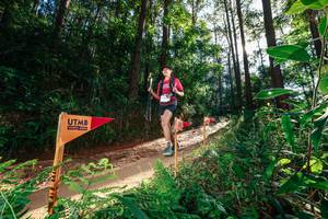 BIB: 
                            <button type="button" onclick="openModal(26630681)" class="btn btn-primary btn-sm float-right btn-popup" data-toggle="modal" data-target=".modal-high-quality">
                        <i class="fas fa-shopping-cart"></i> Add to Cart
                    </button>
                                            <button type="button" onclick="isThisMe(26630681, true)" class="btn btn-success btn-sm float-right btn-popup btn-isme hidden" data-toggle="tooltip" data-placement="bottom" title="นี่คือรูปของคุณใช่ไหม คลิกที่นี่เพื่อเอาเข้าอัลบั้ม">
                        <i class="fas fa-plus"></i> Add to album
                    </button>
                    <button type="button" onclick="isThisMe(26630681, false)" class="btn btn-warning btn-sm float-right btn-popup btn-isnotme hidden">
                        <i class="fas fa-ban"></i> Remove from album
                    </button>