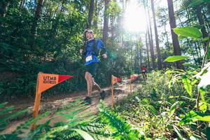 BIB: 
                            <button type="button" onclick="openModal(26629696)" class="btn btn-primary btn-sm float-right btn-popup" data-toggle="modal" data-target=".modal-high-quality">
                        <i class="fas fa-shopping-cart"></i> Add to Cart
                    </button>
                                            <button type="button" onclick="isThisMe(26629696, true)" class="btn btn-success btn-sm float-right btn-popup btn-isme hidden" data-toggle="tooltip" data-placement="bottom" title="นี่คือรูปของคุณใช่ไหม คลิกที่นี่เพื่อเอาเข้าอัลบั้ม">
                        <i class="fas fa-plus"></i> Add to album
                    </button>
                    <button type="button" onclick="isThisMe(26629696, false)" class="btn btn-warning btn-sm float-right btn-popup btn-isnotme hidden">
                        <i class="fas fa-ban"></i> Remove from album
                    </button>