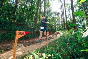 BIB: 
                            <button type="button" onclick="openModal(26629454)" class="btn btn-primary btn-sm float-right btn-popup" data-toggle="modal" data-target=".modal-high-quality">
                        <i class="fas fa-shopping-cart"></i> Add to Cart
                    </button>
                                            <button type="button" onclick="isThisMe(26629454, true)" class="btn btn-success btn-sm float-right btn-popup btn-isme hidden" data-toggle="tooltip" data-placement="bottom" title="นี่คือรูปของคุณใช่ไหม คลิกที่นี่เพื่อเอาเข้าอัลบั้ม">
                        <i class="fas fa-plus"></i> Add to album
                    </button>
                    <button type="button" onclick="isThisMe(26629454, false)" class="btn btn-warning btn-sm float-right btn-popup btn-isnotme hidden">
                        <i class="fas fa-ban"></i> Remove from album
                    </button>