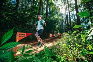 BIB: 
                            <button type="button" onclick="openModal(26630039)" class="btn btn-primary btn-sm float-right btn-popup" data-toggle="modal" data-target=".modal-high-quality">
                        <i class="fas fa-shopping-cart"></i> Add to Cart
                    </button>
                                            <button type="button" onclick="isThisMe(26630039, true)" class="btn btn-success btn-sm float-right btn-popup btn-isme hidden" data-toggle="tooltip" data-placement="bottom" title="นี่คือรูปของคุณใช่ไหม คลิกที่นี่เพื่อเอาเข้าอัลบั้ม">
                        <i class="fas fa-plus"></i> Add to album
                    </button>
                    <button type="button" onclick="isThisMe(26630039, false)" class="btn btn-warning btn-sm float-right btn-popup btn-isnotme hidden">
                        <i class="fas fa-ban"></i> Remove from album
                    </button>