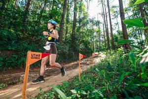 BIB: 
                            <button type="button" onclick="openModal(26629505)" class="btn btn-primary btn-sm float-right btn-popup" data-toggle="modal" data-target=".modal-high-quality">
                        <i class="fas fa-shopping-cart"></i> Add to Cart
                    </button>
                                            <button type="button" onclick="isThisMe(26629505, true)" class="btn btn-success btn-sm float-right btn-popup btn-isme hidden" data-toggle="tooltip" data-placement="bottom" title="นี่คือรูปของคุณใช่ไหม คลิกที่นี่เพื่อเอาเข้าอัลบั้ม">
                        <i class="fas fa-plus"></i> Add to album
                    </button>
                    <button type="button" onclick="isThisMe(26629505, false)" class="btn btn-warning btn-sm float-right btn-popup btn-isnotme hidden">
                        <i class="fas fa-ban"></i> Remove from album
                    </button>