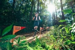 BIB: 
                            <button type="button" onclick="openModal(26630076)" class="btn btn-primary btn-sm float-right btn-popup" data-toggle="modal" data-target=".modal-high-quality">
                        <i class="fas fa-shopping-cart"></i> Add to Cart
                    </button>
                                            <button type="button" onclick="isThisMe(26630076, true)" class="btn btn-success btn-sm float-right btn-popup btn-isme hidden" data-toggle="tooltip" data-placement="bottom" title="นี่คือรูปของคุณใช่ไหม คลิกที่นี่เพื่อเอาเข้าอัลบั้ม">
                        <i class="fas fa-plus"></i> Add to album
                    </button>
                    <button type="button" onclick="isThisMe(26630076, false)" class="btn btn-warning btn-sm float-right btn-popup btn-isnotme hidden">
                        <i class="fas fa-ban"></i> Remove from album
                    </button>