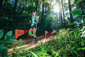 BIB: 
                            <button type="button" onclick="openModal(26629821)" class="btn btn-primary btn-sm float-right btn-popup" data-toggle="modal" data-target=".modal-high-quality">
                        <i class="fas fa-shopping-cart"></i> Add to Cart
                    </button>
                                            <button type="button" onclick="isThisMe(26629821, true)" class="btn btn-success btn-sm float-right btn-popup btn-isme hidden" data-toggle="tooltip" data-placement="bottom" title="นี่คือรูปของคุณใช่ไหม คลิกที่นี่เพื่อเอาเข้าอัลบั้ม">
                        <i class="fas fa-plus"></i> Add to album
                    </button>
                    <button type="button" onclick="isThisMe(26629821, false)" class="btn btn-warning btn-sm float-right btn-popup btn-isnotme hidden">
                        <i class="fas fa-ban"></i> Remove from album
                    </button>